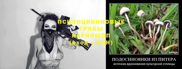 шишки Михайловка