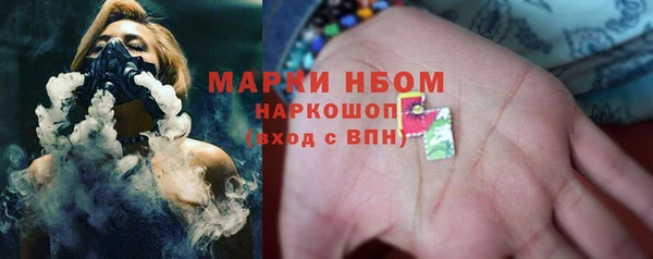 шишки Михайловка