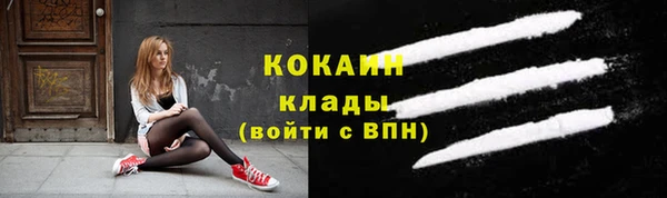 дмт Мегион