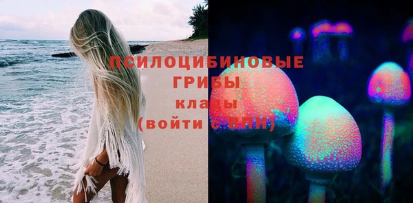 спайс Алагир