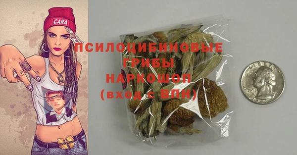 спиды Михайловск