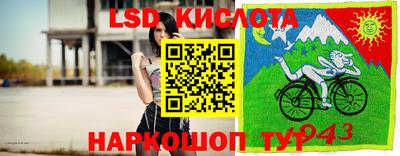 дмт Гусев