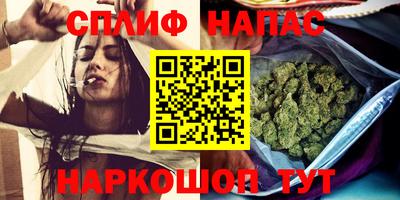 дмт Гусев