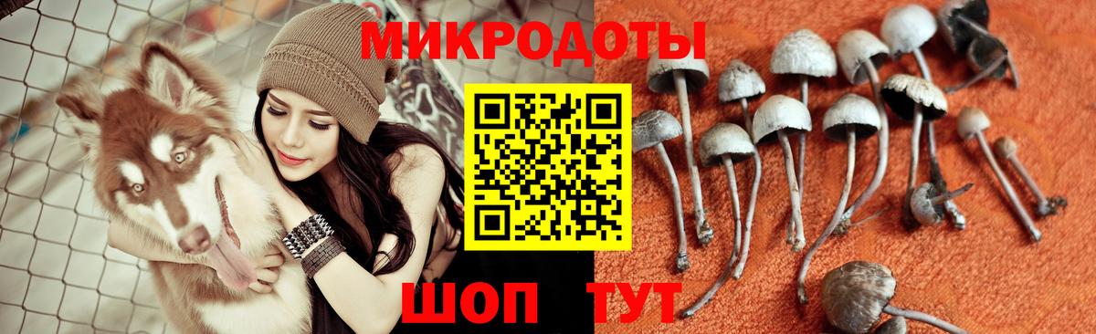 Псилоцибиновые грибы Psilocybine cubensis  Вход с VPN  Усолье-Сибирское 